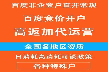 SEM竞价代运营公司经典案例解析